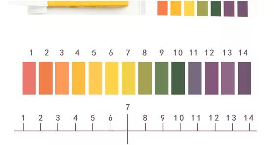 betway体育·(必威)官方网站