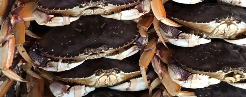 水产入口：海鲜入口从香港中转内地怎样清关？？？？