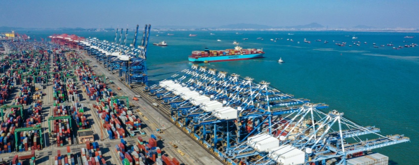 大连裙带菜出口3.1亿：从地方特产到国际品牌的跨越