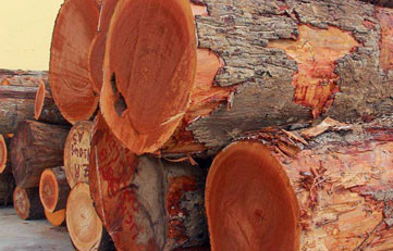 木料入口报关怎样申报？？？？？？木料入口清关注重事项？？？？？？