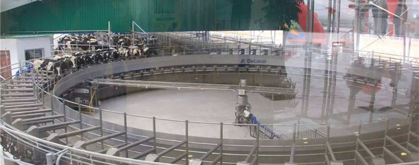 瑞典二手挤奶机入口中山清关