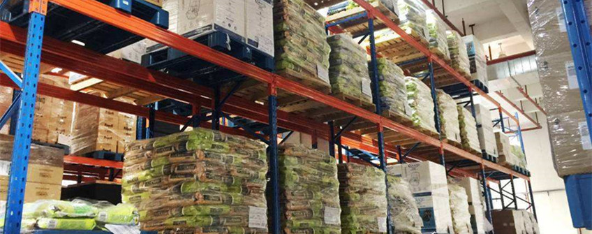  入口宠物粮怎样挑。。？？？？？