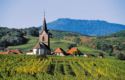 葡萄酒入口报关：法国红酒入口报关要素有哪些？？？？？