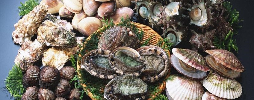 海鲜怎么入口报关？？？？？？？？有哪些注重事项？？？？？？？？